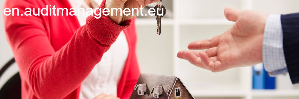 en.auditmanagement.eu